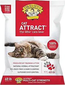 Best Clumping Cat Litter of 2025: Vet-Reviewed Picks for Odor & Dust Control 2 Dr. Elsey's Ultra Premium Clumping Cat Litter