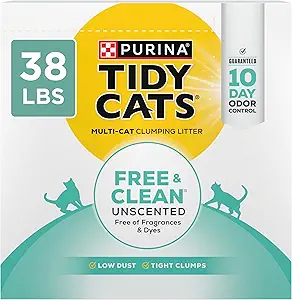 Best Cat Litter for Odor Control in 2025: Expert Picks for a Fresher Home 4 Tidy Cats Free & Clean Unscented
