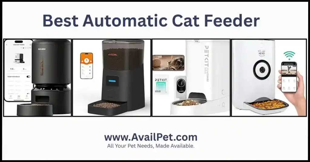 Best Automatic Cat Feeder of 2026: Tested & Vet-Reviewed with Dr. Allona Jackson 11 Automatic Cat Feeder