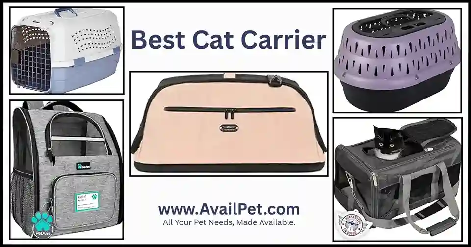Best Cat Carrier