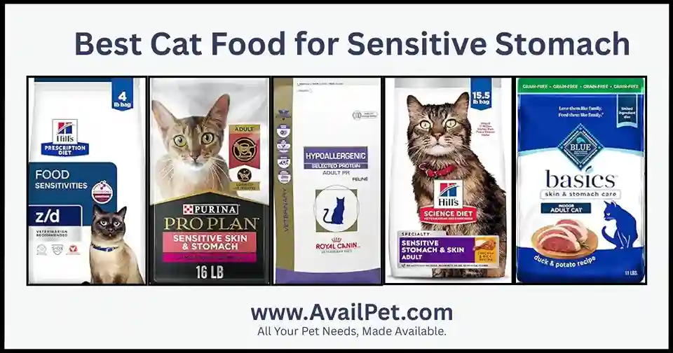 Best Cat Food for Sensitive Stomach