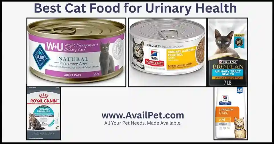 Best Cat Food for Urinary Health
