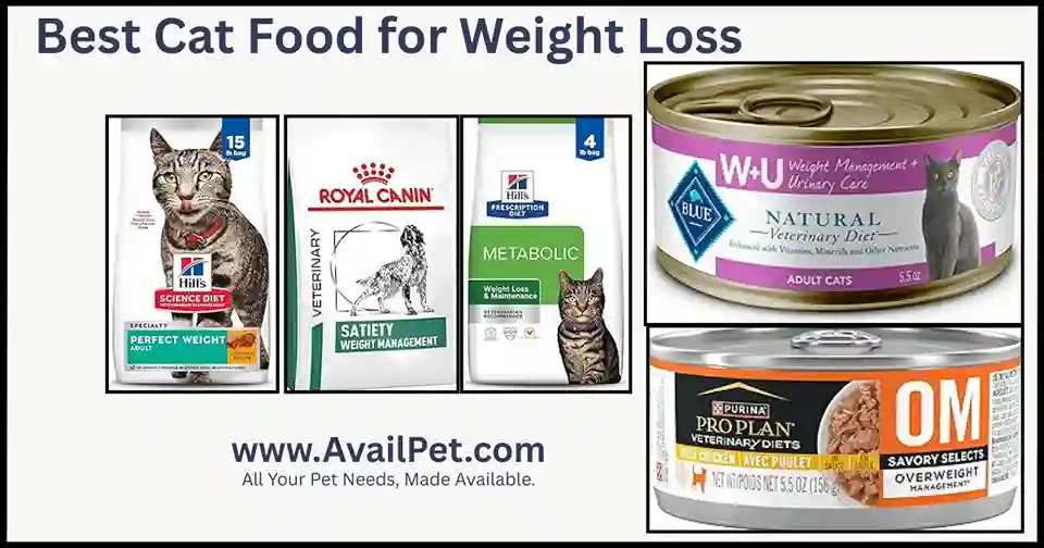 Best Cat Food for Weight Loss