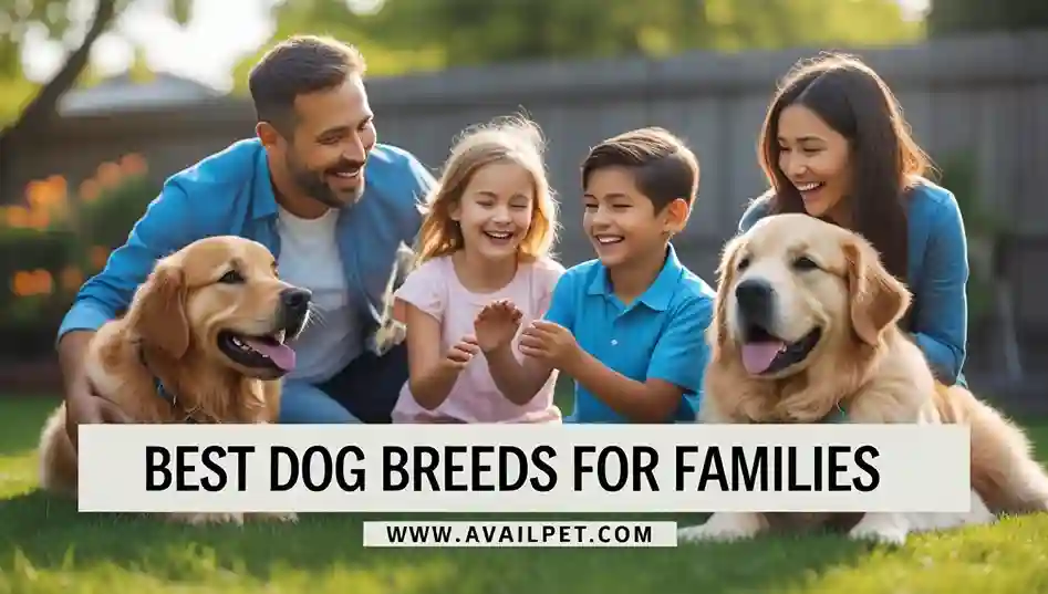 Best Dog Breeds for Families