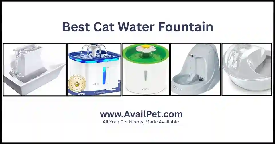 Cat Water Fountain