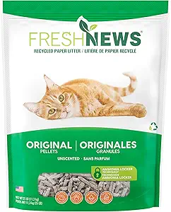 Best Natural Cat Litter of 2025: Unbiased, Vet-Reviewed Guide 5 Fresh News Recycled Paper Litter