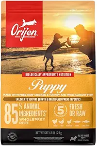ORIJEN Amazing Grains Puppy Recipe