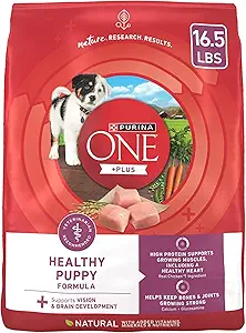 Purina ONE SmartBlend Healthy Puppy Formula
