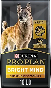 Senior Dog Food: A 2025 Vet-Reviewed Guide to Health & Vitality 2 Purina Pro Plan Bright Mind Senior