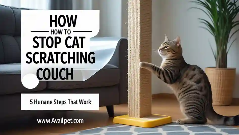 how to stop cat scratching couch