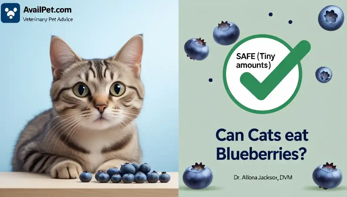 Can Cats Eat Blueberries