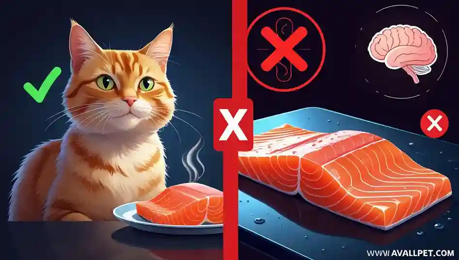 Can Cats Eat Raw Fish