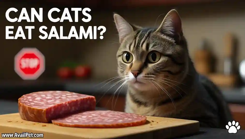 Can Cats Eat Salami