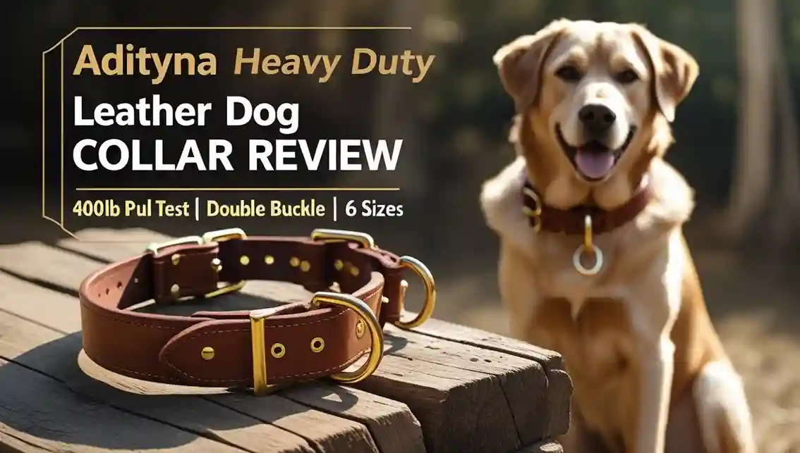 ADITYNA Heavy Duty Leather Dog Collar Review