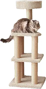 Cat Tree for Indoor Cats 2026 — 5 Vet-Reviewed Picks 4 Amazon Basics Cat Tree Tower