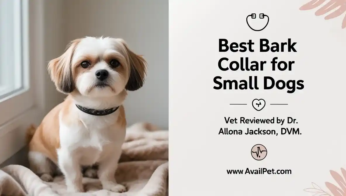Best Bark Collar for Small Dogs