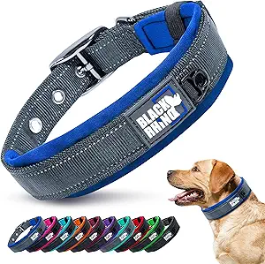 Black Rhino Dog Collar