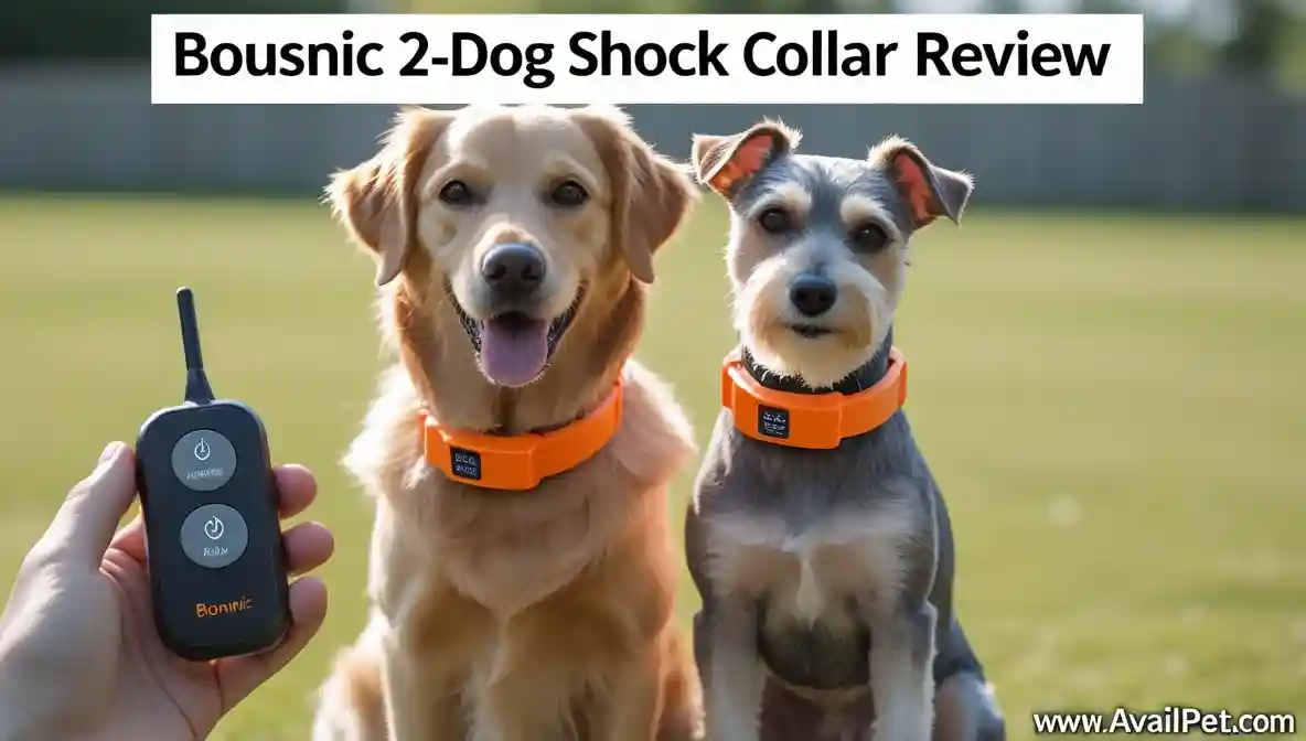Bousnic Dog Shock Collar for 2 Dogs Review