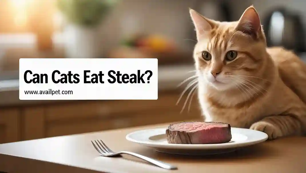 Can Cats Eat Steak