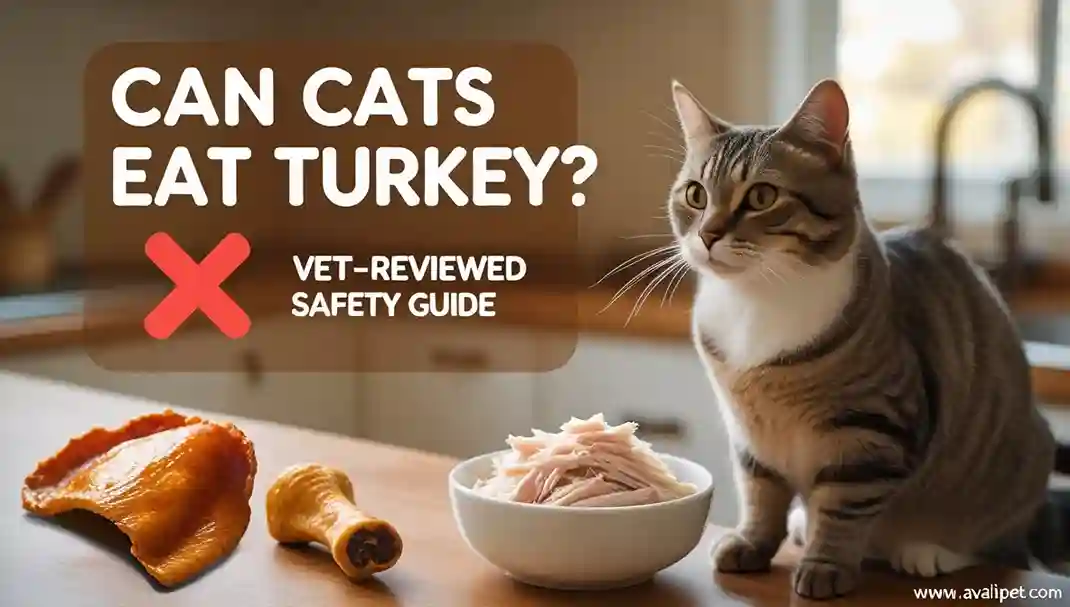 Can Cats Eat Turkey