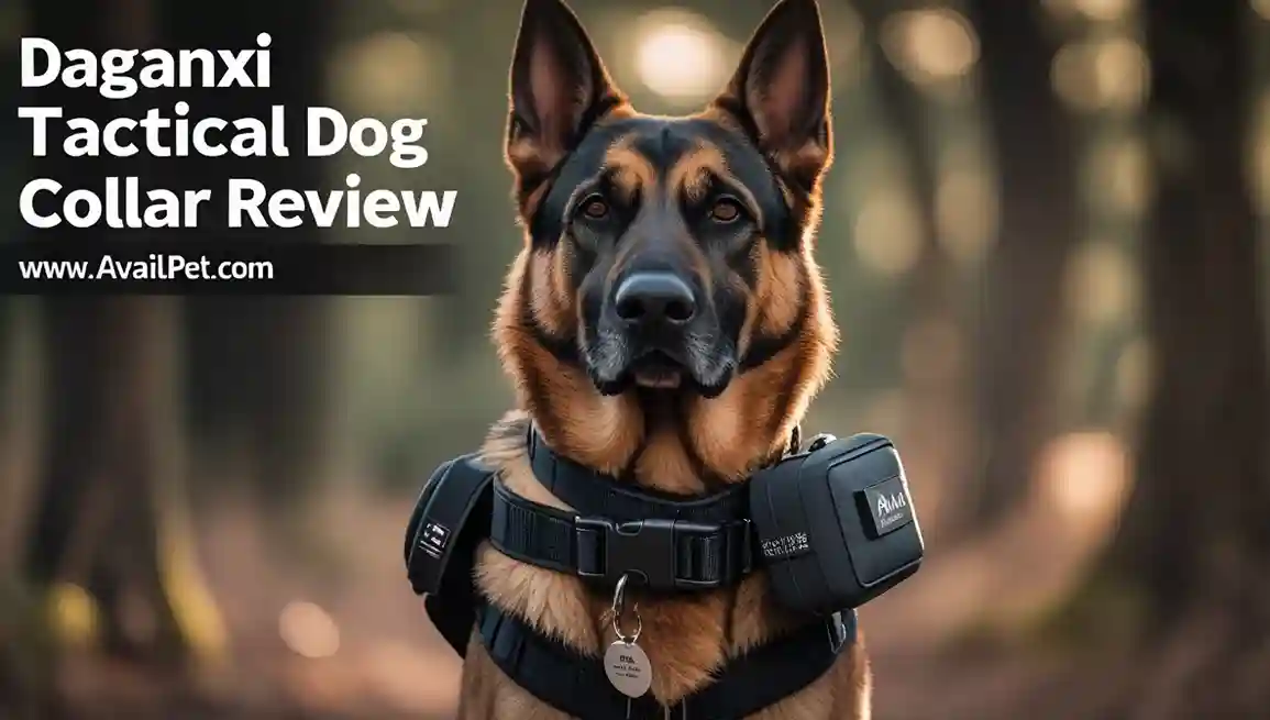 DAGANXI Tactical Dog Collar Review