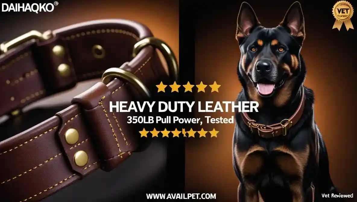 DAIHAQIKO Genuine Leather Dog Collar Review