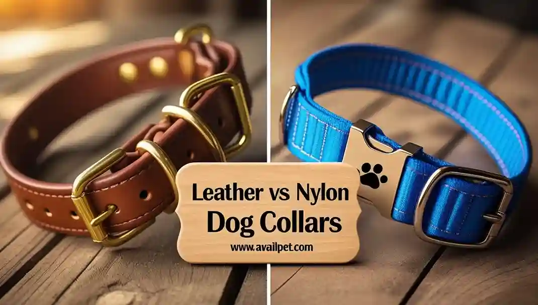 Dog collar leather vs nylon