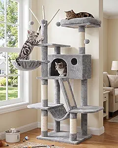 Best Cat Tree for Kittens 2026 — 5 Safe Picks for Growing Cats 4 Hey Brother cat tree