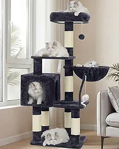 Heybly Cat Tree with Toy