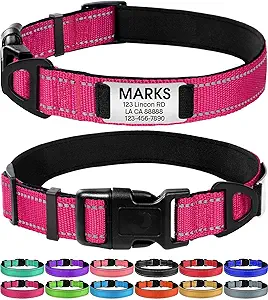 Joytale Personalized Dog Collar