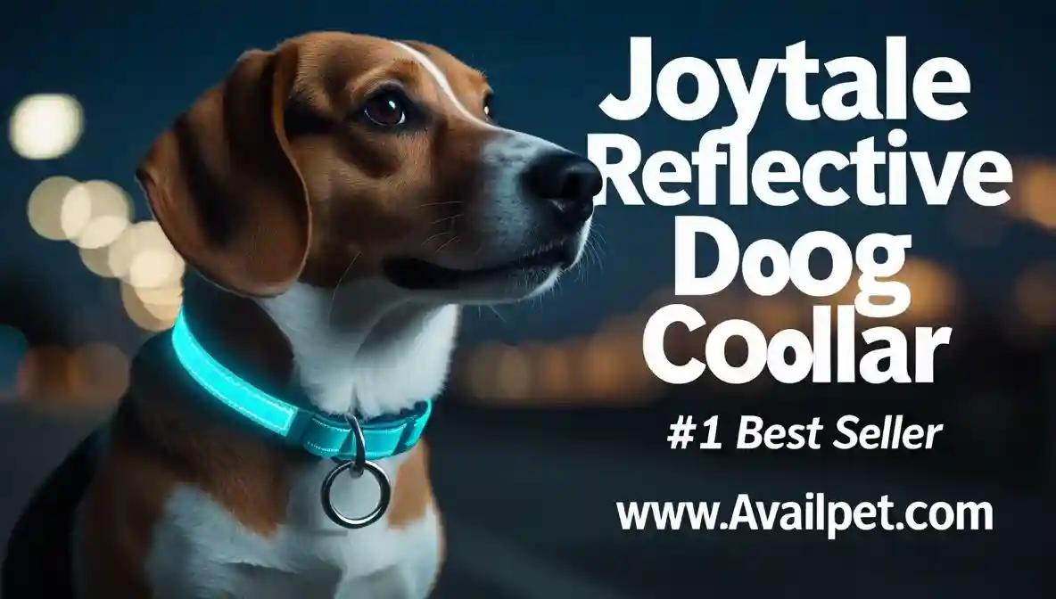 Home 19 Joytale Reflective Dog Collar Review