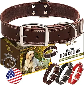 Leather Dog Collar