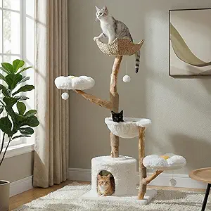 Modern Cat Tree 2026 — 5 Stylish Cat Towers That Blend with Your Home Decor 2 MUTTROS Modern cat tree