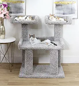 Best Cat Tree for Large Cats 2026 — Vet-Reviewed for 15+ lb Cats 4 New Cat Condos