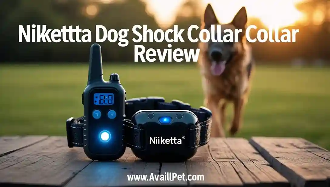 Nikketta Dog Shock Collar Review