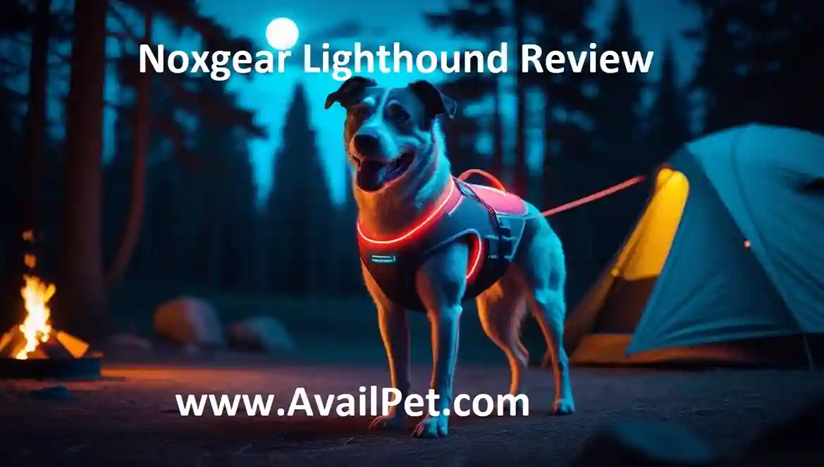 Noxgear Lighthound Review