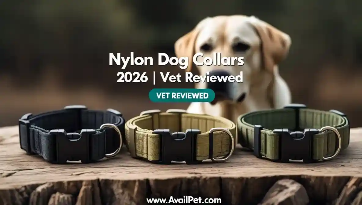 Nylon dog collars