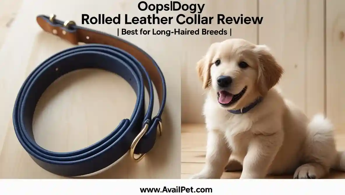 OOPSDOGGY Rolled Leather Dog Collar Review