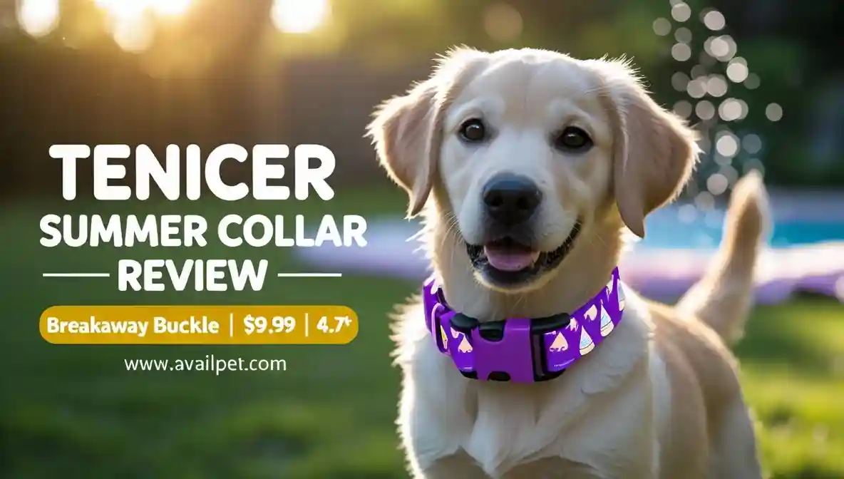 Summer Dog Collar Review