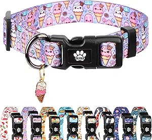 Summer Dog Collar