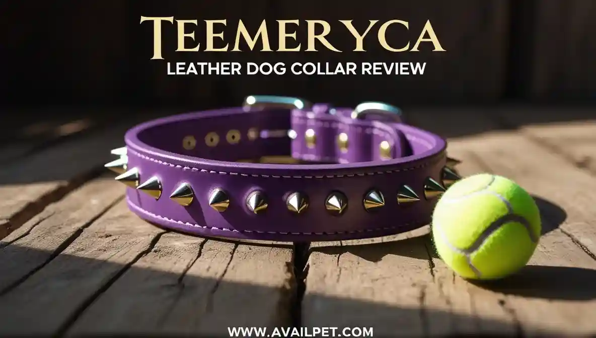 TEEMERRYCA Leather Dog Collar Review