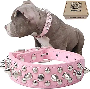 TEEMERRYCA Leather Dog Collar