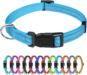 TagME Dog Collar