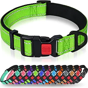 Taglory Dog Collar