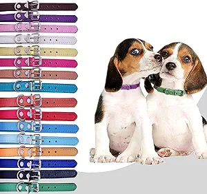 TenCloud Pet Collar Set