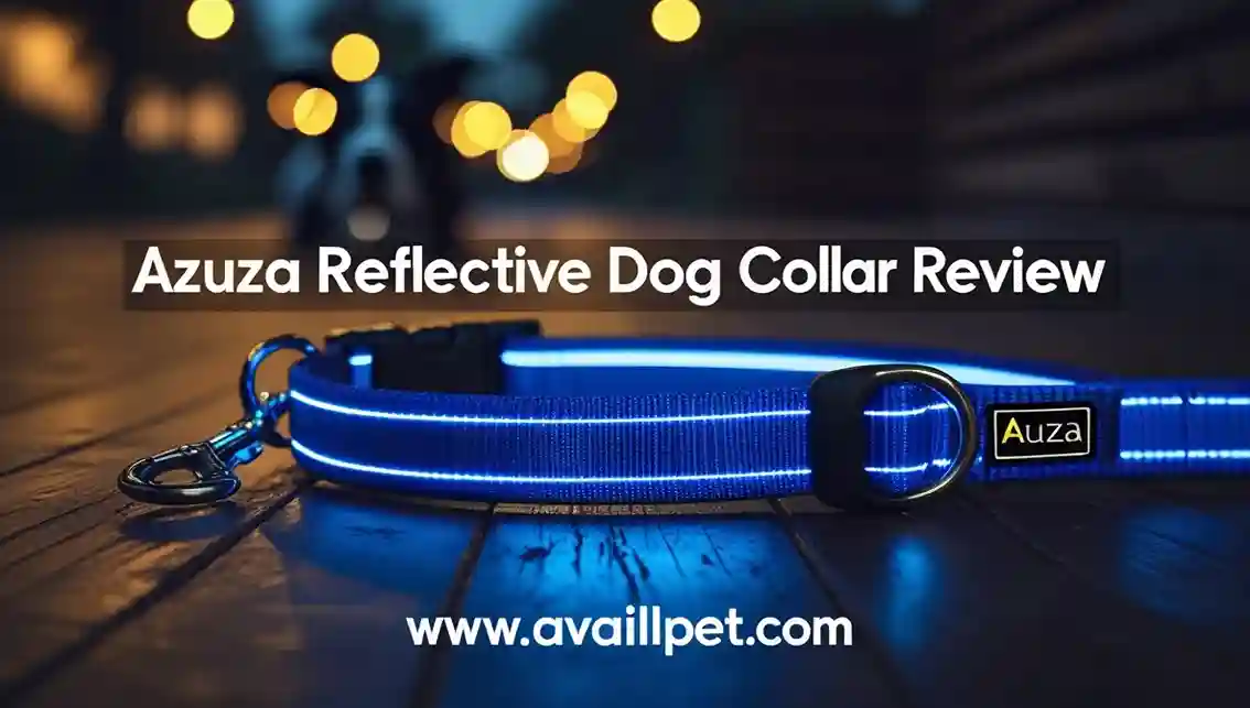 Home 18 azuza Dog Collar Review