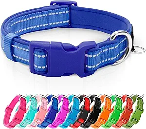 azuza Dog Collar