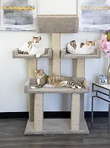 Best Cat Tree for Large Cats 2026 — Vet-Reviewed for 15+ lb Cats 2 prestige cat trees for large cats