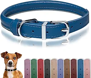 rolled leather dog collar