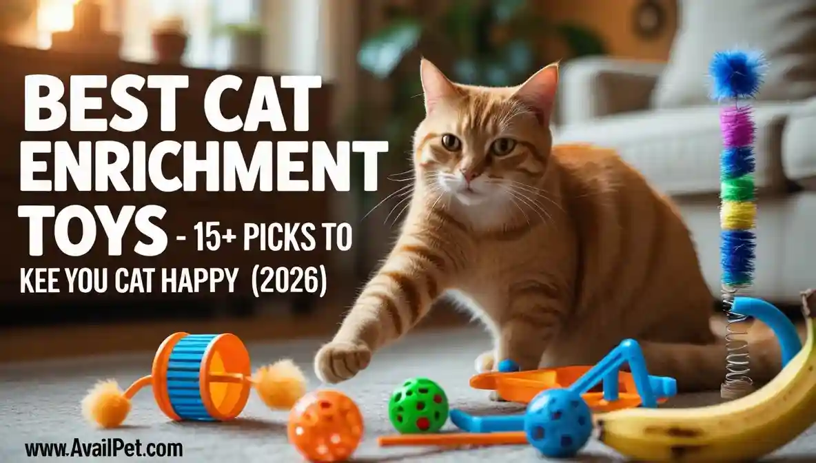Best cat enrichment toys